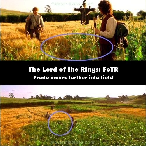 Phim The Lord of the Rings: The Fellowship of the Ring (Chúa tể của những chiếc nhẫn, cảnh gần, Frodo, Sam và con bù nhìn đứng gần nhau hơn rất nhiều so với cảnh xa. Con bù nhìn cũng bị thay đổi vị trí nhiều lần trong phim, lúc thì ở gần ruộng ngô, lúc thì lại ở xa